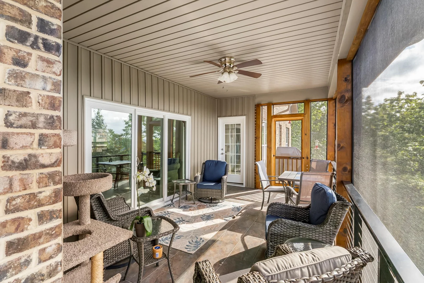 Back porch with cat crawl thing far left and doors on far left